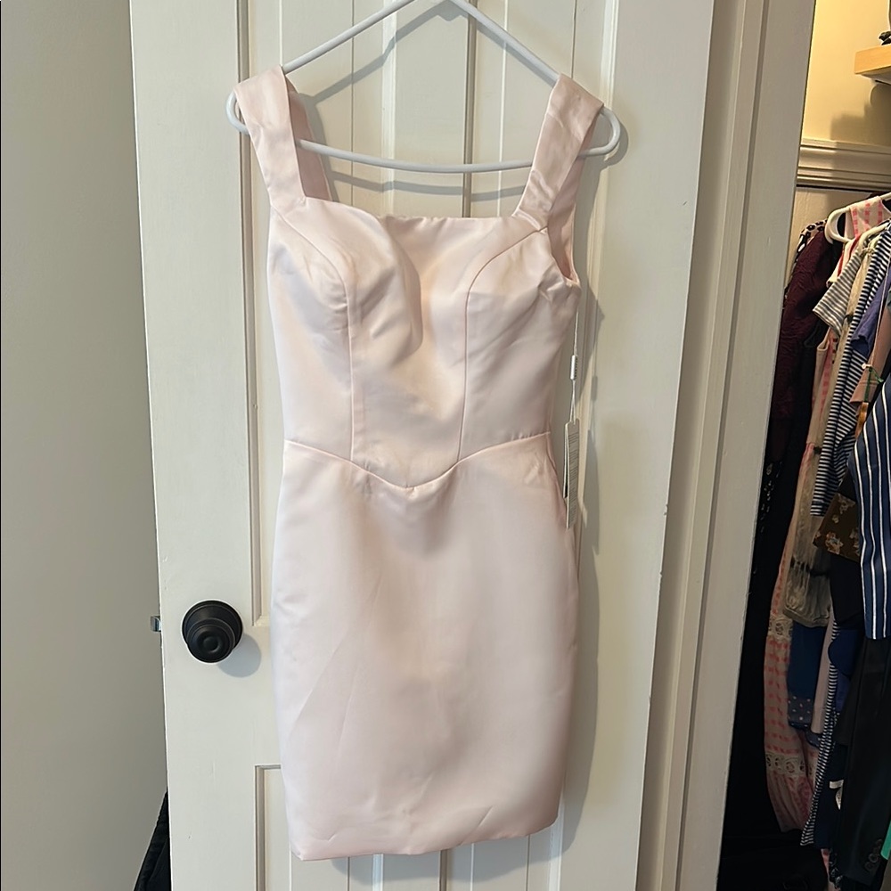 NWT Pink Cocktail Sleeveless Dress
